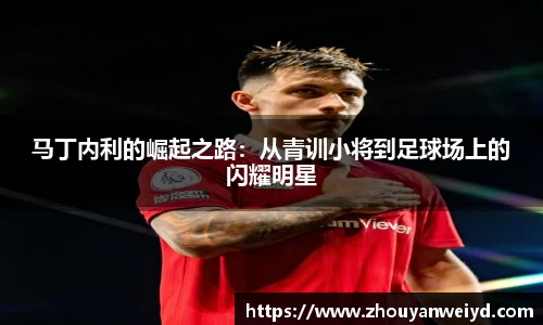 zoty中欧官方网站