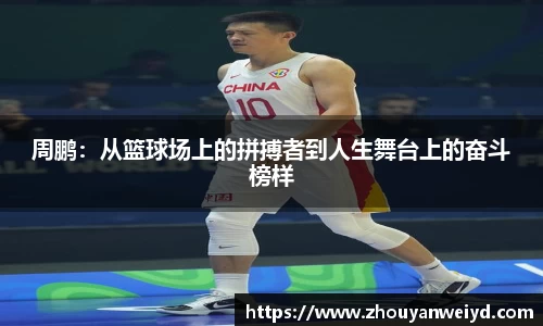 zoty中欧官方网站